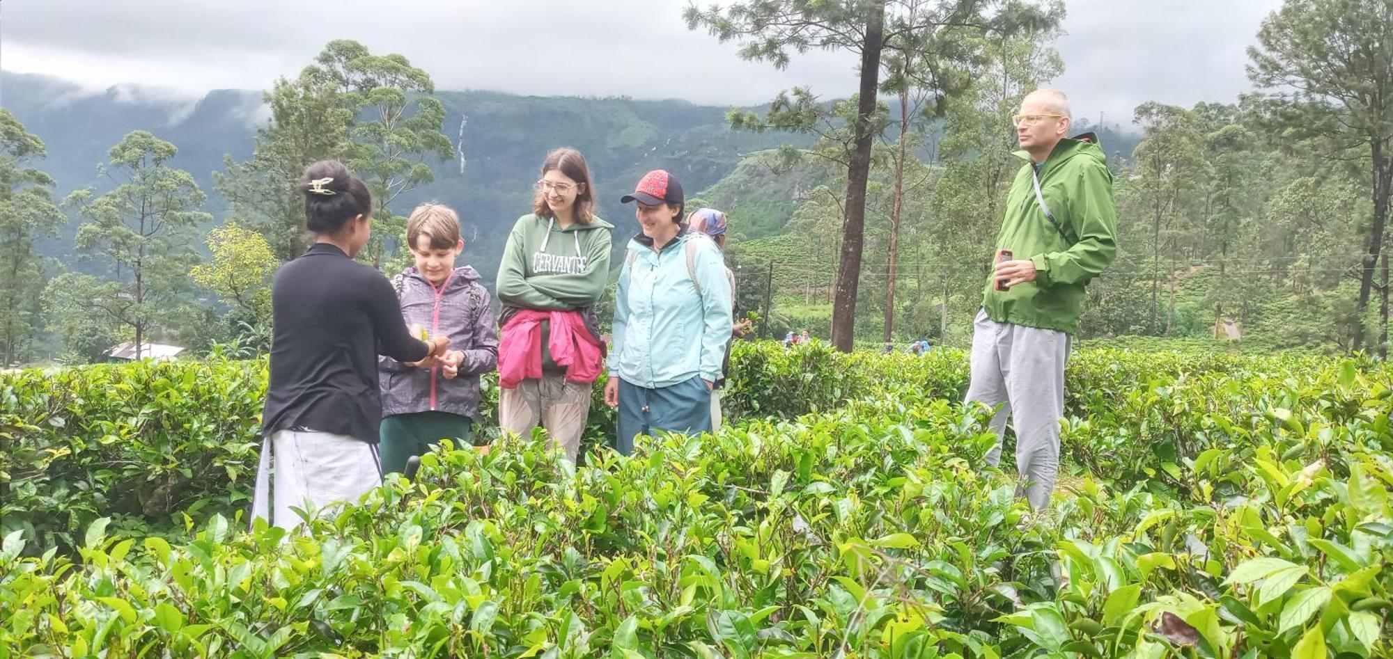 Serenity Heights Nuwara Eliya Zewnętrze zdjęcie