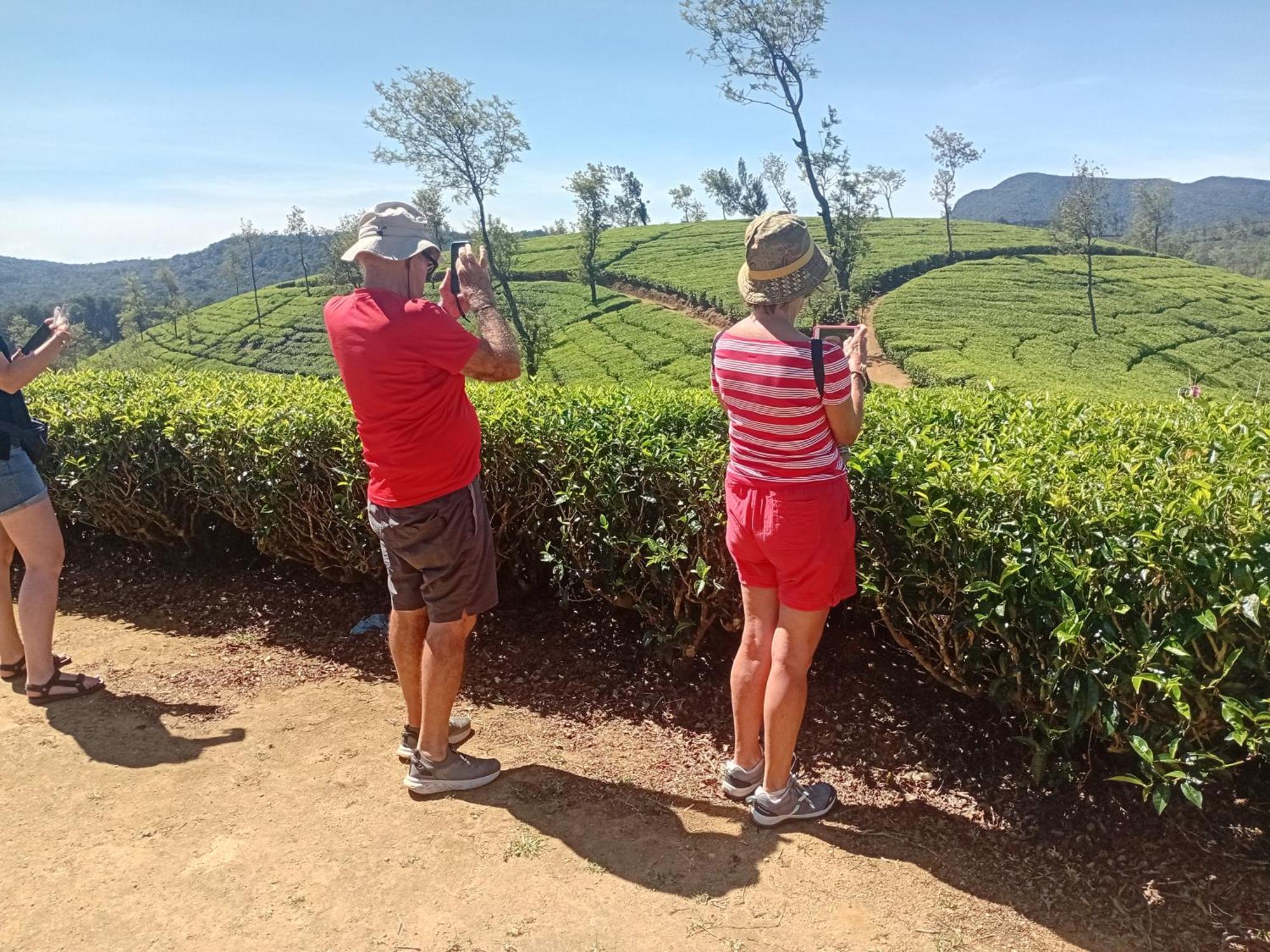 Serenity Heights Nuwara Eliya Zewnętrze zdjęcie